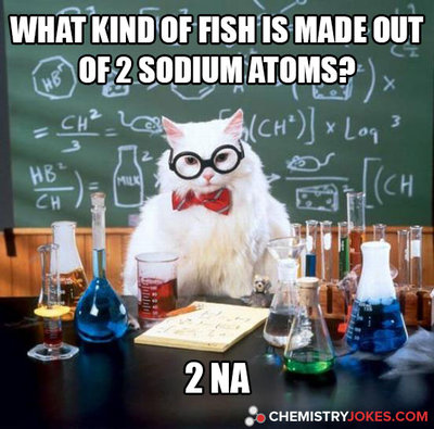 what-kind-of-fish-is-made-out-of-2-sodium-atoms.jpg