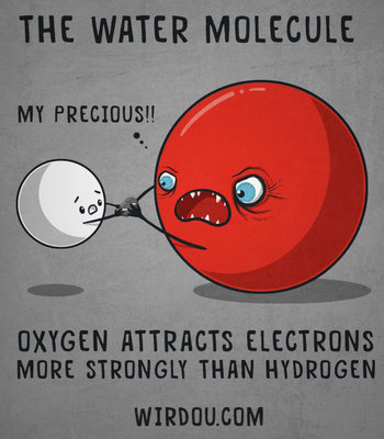 the-water-molecule.jpg