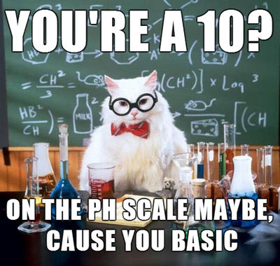 funny-science-cat-PH-scale.jpg