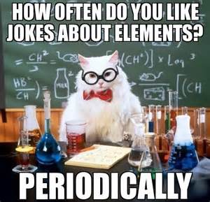 chemistry cat.jpg