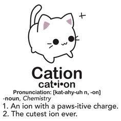 cation.jpg