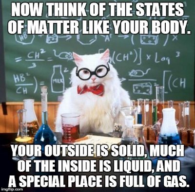 ChemistCat2.jpg