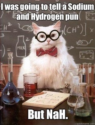 ChemistCat4.jpg