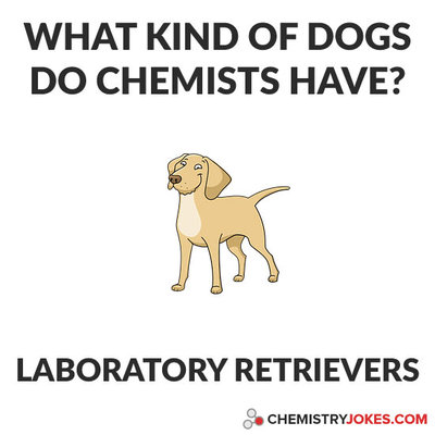 what-kind-of-dogs-do-chemists-have.jpg