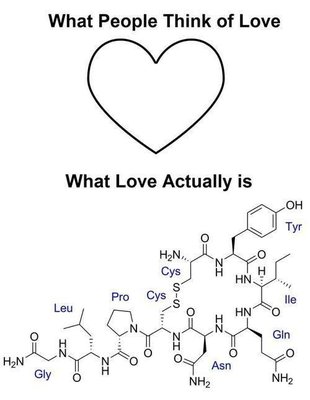 chem joke.jpg