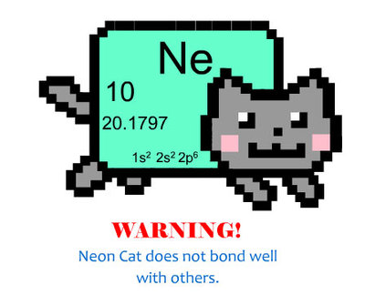 neon-cat-does-not-bond-well-with-others.jpg
