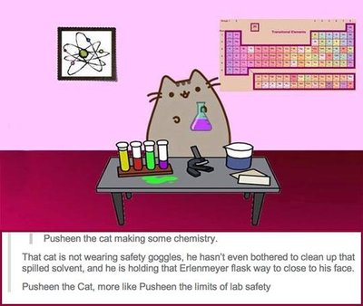 Pusheen.jpg