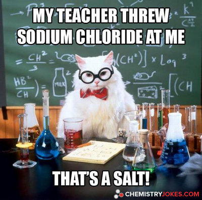 my-teacher-threw-sodium-chloride-at-me.jpg