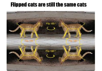 Organic Chem joke 3-1-17.PNG