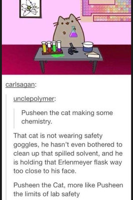 pusheen-the-cat-making-some-chemistry.jpg
