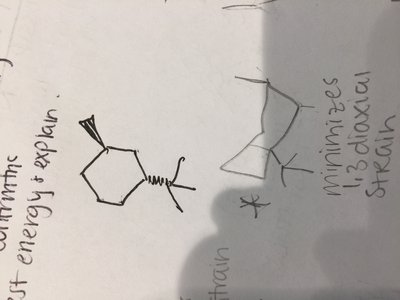 13 diaxial strain .JPG