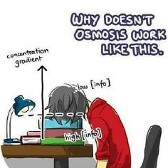 osmosis.jpg