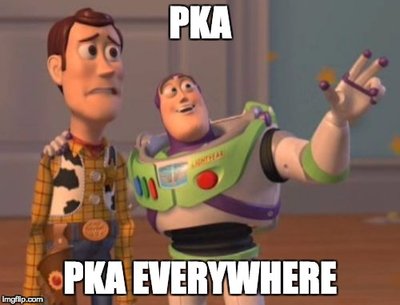 PKA meme.jpg