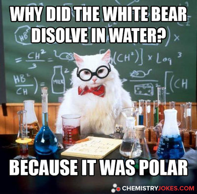 why-did-the-white-bear-dissolve-in-water.jpg