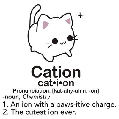 cation.jpg