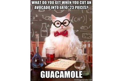 chemcat_guacamole-56a130583df78cf772684211.jpg