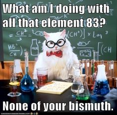 d5162582a55114d47c2fee51aeede9d4--science-cat-science-jokes.jpg