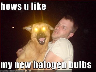 hows-u-like-my-new-halogen-bulbs.jpg