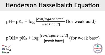 Henderson-Hasselbalch-Equation.jpg