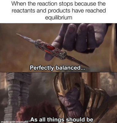 Thanos equilibrium meme.jpg