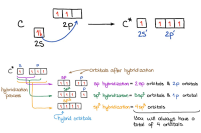 hybridization.png